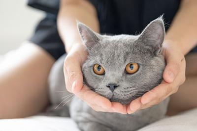 次氯酸水治療貓癬