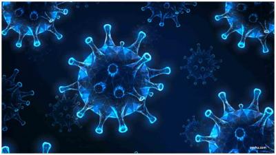 次氯酸發(fā)生器圖片