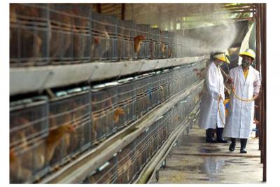 次氯酸消毒液發生器