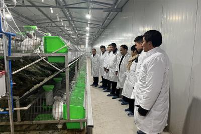 適用于寵物主人、農場和動物飼養者的次氯酸發生器。