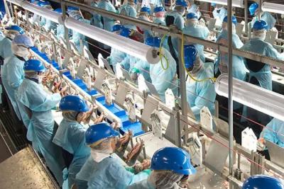 次氯酸發生器在食品行業的應用有哪些？