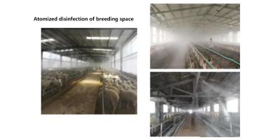 微酸性次氯酸水在畜牧養殖中的應用