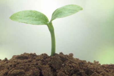 次氯酸如何調節土壤酸堿度，您知道嗎？