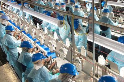 次氯酸在CIP管路的清洗消毒