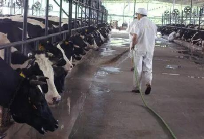 養殖場次氯酸應用