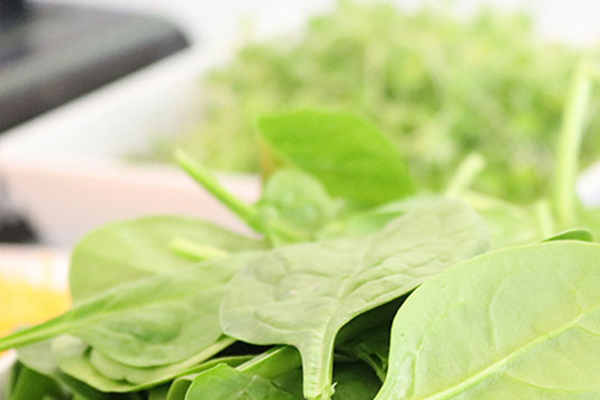 怎樣使作物綠色無(wú)污染,次氯酸做到了 怎樣使作物綠色無(wú)污染,次氯酸做到了