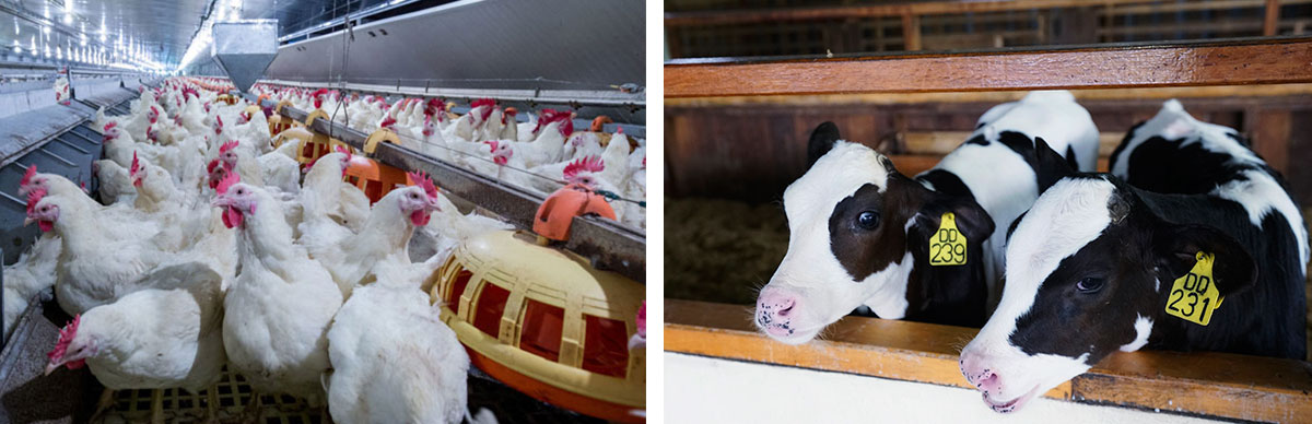 次氯酸水消毒設備