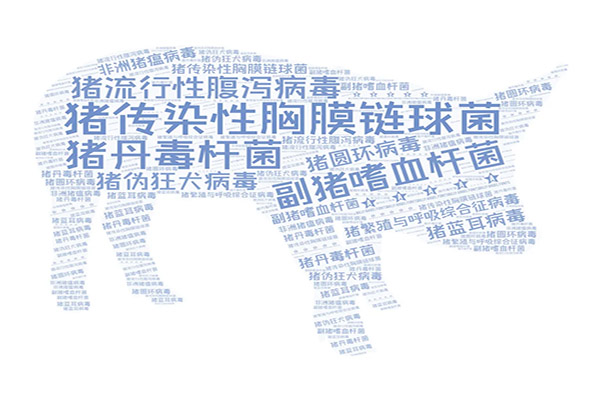 1641782335751742.jpg 豬.jpg