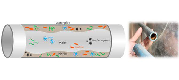 牙科專用次氯酸發生器