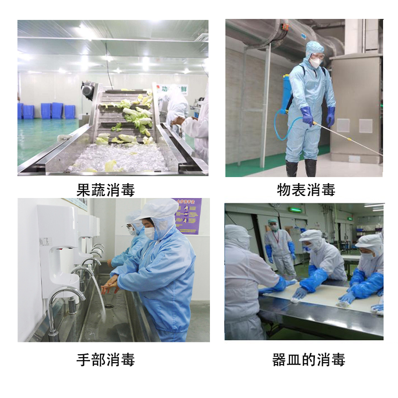 食品加工次氯酸發生器 食品加工次氯酸發生器