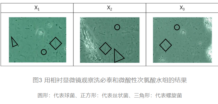 次氯酸發生器研究表格 次氯酸發生器研究表格