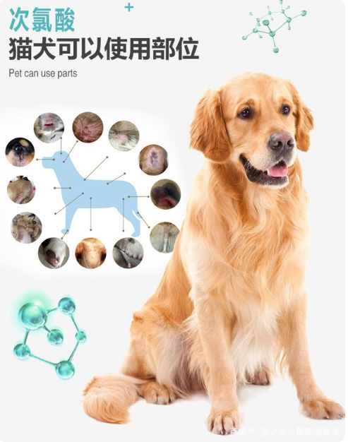 次氯酸對(duì)寵物的消毒