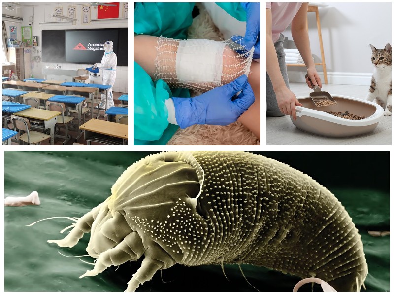 次氯酸的六大功能你知道幾個(gè)-盛懷次氯酸發(fā)生器 次氯酸的六大功能你知道幾個(gè)-盛懷次氯酸發(fā)生器