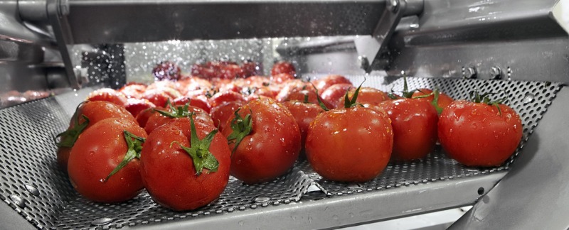 次氯酸發生器-凈菜保鮮中的應用