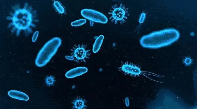 1667436775457258.jpg u=2460740913,509430381&fm=253&fmt=auto&app=120&f=JPEG.webp.jpg