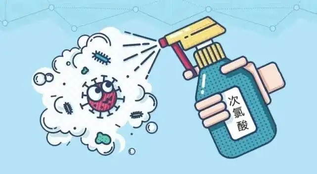 1672191853244655.jpg 55.webp.jpg