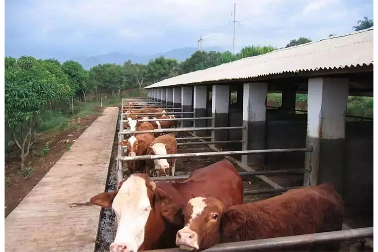 1675672959916653.jpg 2.jpg