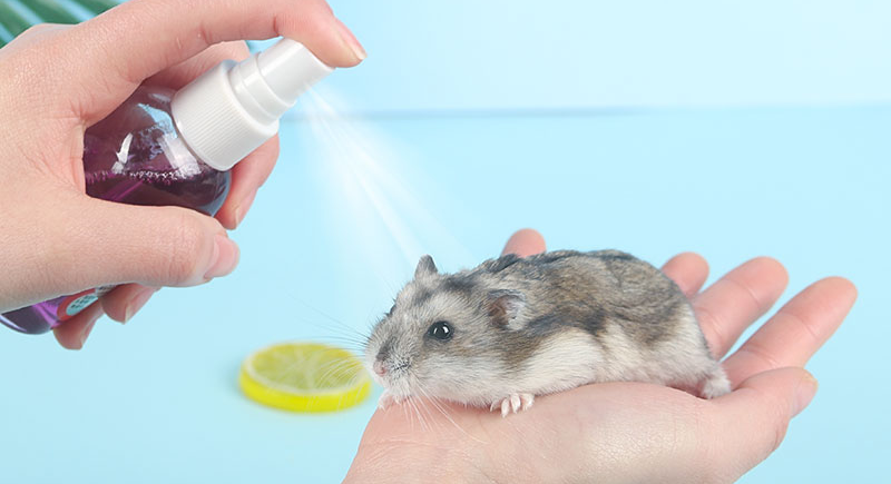 次氯酸寵物消毒 次氯酸寵物消毒