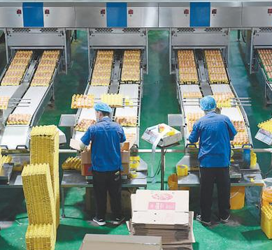 食品加工業(yè) 食品加工業(yè)