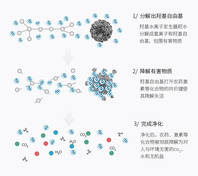 某品牌果蔬清洗機技術原理介紹 某品牌果蔬清洗機技術原理介紹