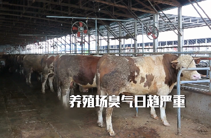 養殖場行業問題