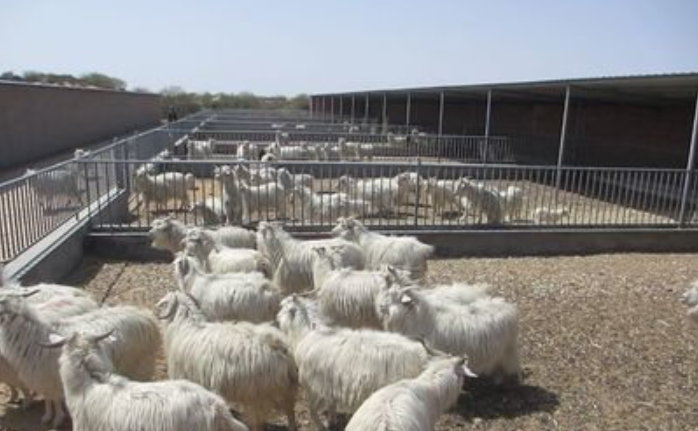 盛懷次氯酸發生器可對畜禽舍進行消毒
