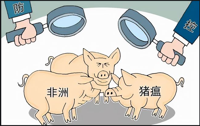 盛懷次氯酸水對豬場養殖行業效果明顯