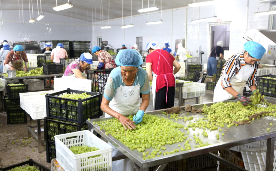 次氯酸水在食品加工行業(yè)的應(yīng)用