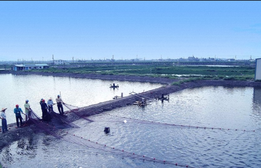 盛懷次氯酸水在水產加工業的使用