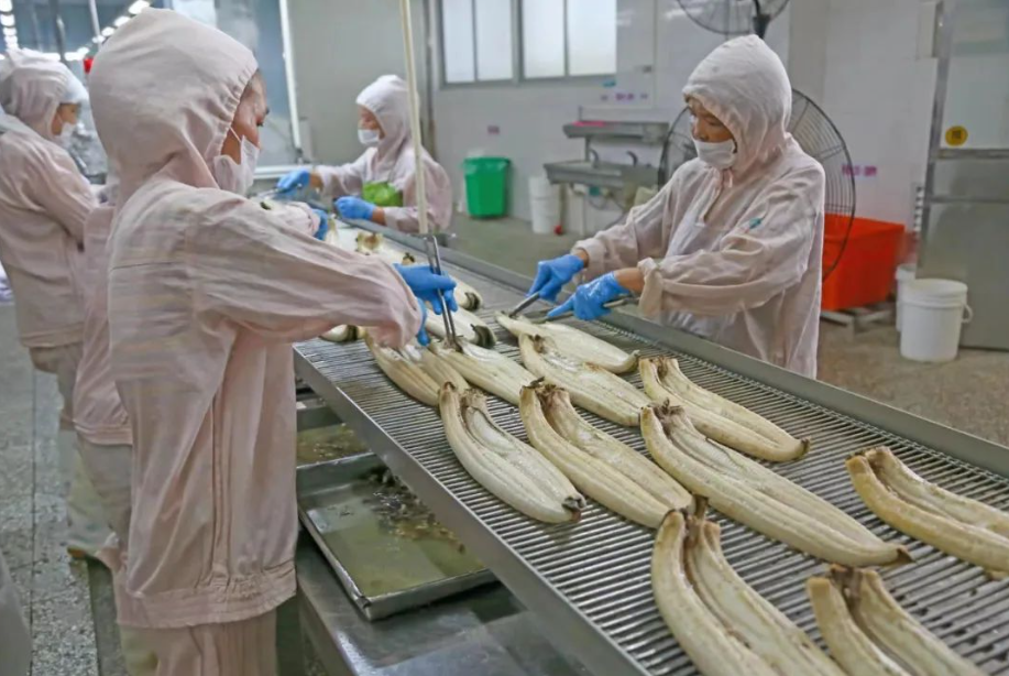 微酸性電解水在水產加工行業逐漸風靡