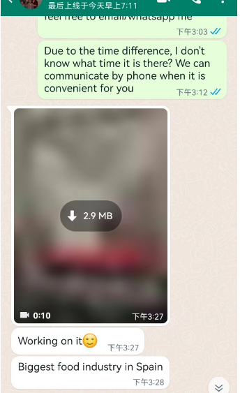 與西班牙客戶就4臺霧化機的聊天記錄