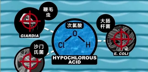 次氯酸殺菌原理