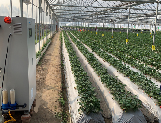 1700443024307061.png image.png