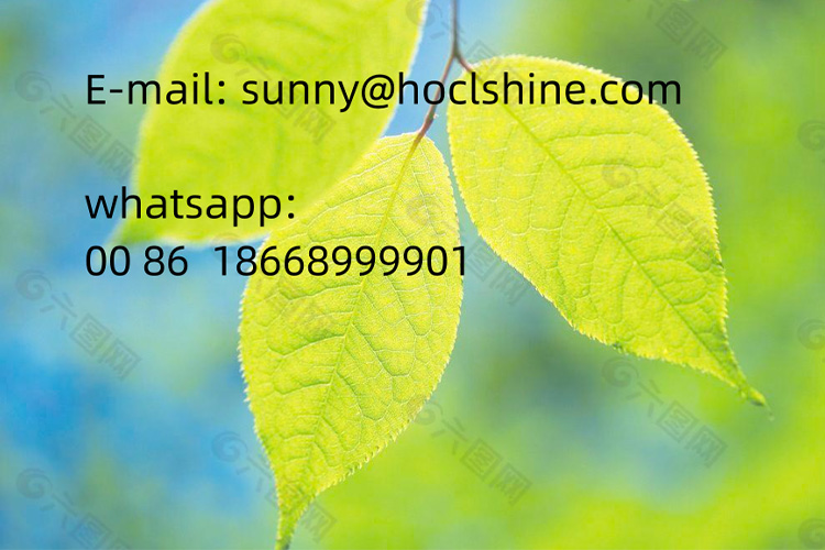 聯系方式 聯系方式