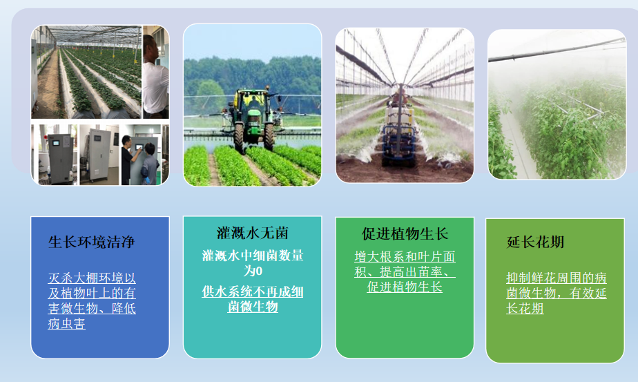 次氯酸發生器在花卉養殖方面可以實現的效果