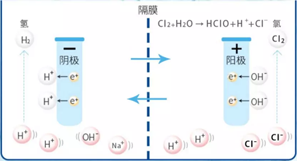次氯酸發生器殺菌 次氯酸發生器殺菌