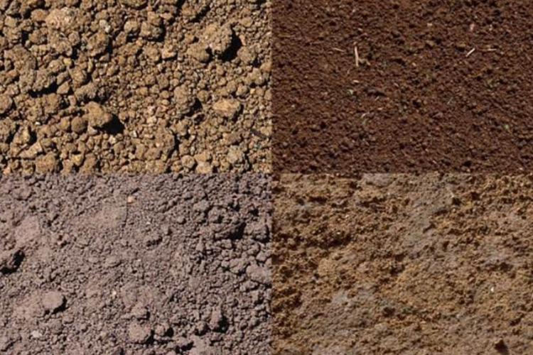 次氯酸發生器土壤調節